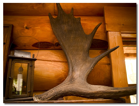 Rustic Antlers and Accessories